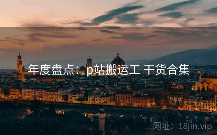 年度盘点：p站搬运工 干货合集  第2张