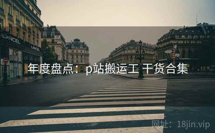 年度盘点：p站搬运工 干货合集  第1张