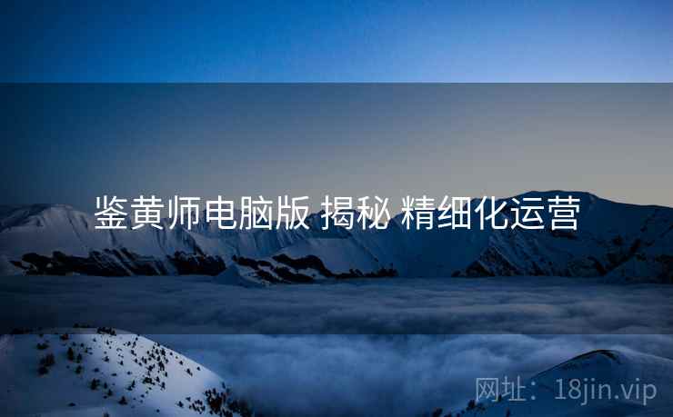 鉴黄师电脑版 揭秘 精细化运营  第1张
