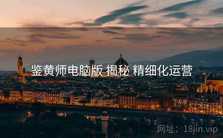 鉴黄师电脑版 揭秘 精细化运营  第2张