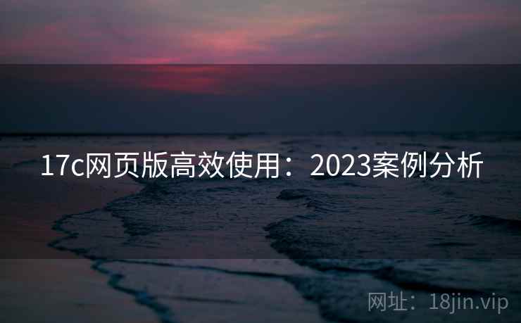 17c网页版高效使用：2023案例分析  第2张