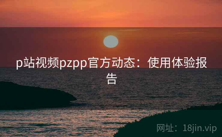 p站视频pzpp官方动态：使用体验报告  第2张
