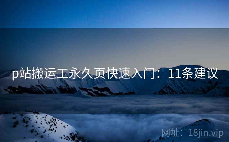 p站搬运工永久页快速入门：11条建议  第1张