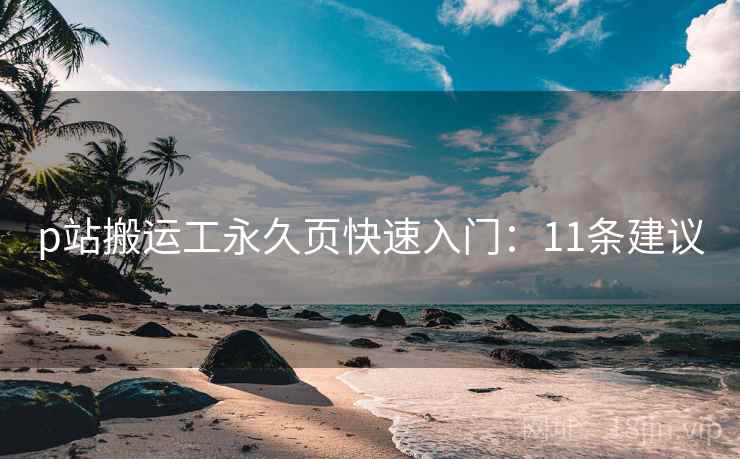 p站搬运工永久页快速入门：11条建议  第2张