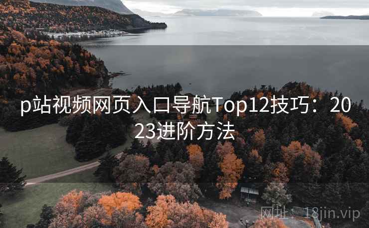 p站视频网页入口导航Top12技巧：2023进阶方法  第1张