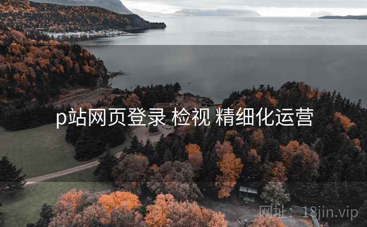 p站网页登录 检视 精细化运营  第1张