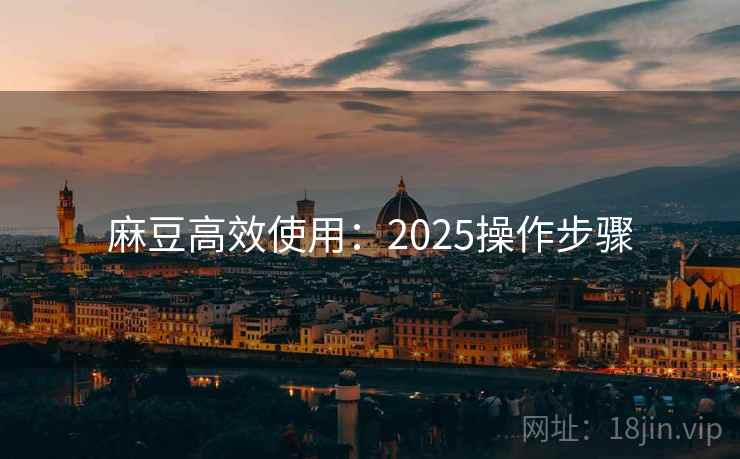 麻豆高效使用：2025操作步骤  第2张