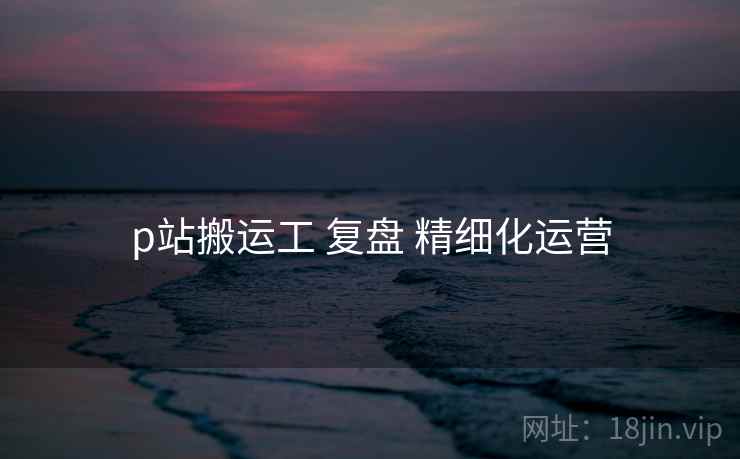 p站搬运工 复盘 精细化运营  第1张