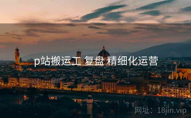 p站搬运工 复盘 精细化运营  第2张