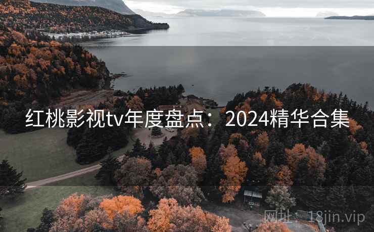 红桃影视tv年度盘点：2024精华合集  第2张