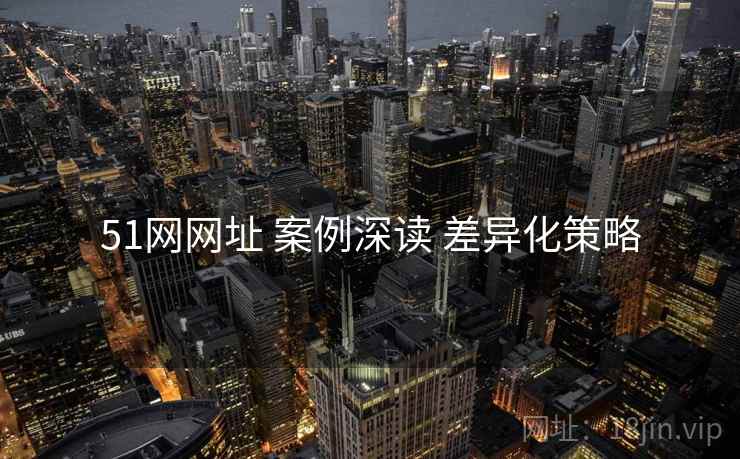 51网网址 案例深读 差异化策略  第2张