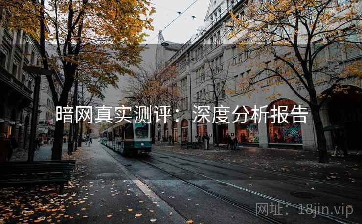 暗网真实测评：深度分析报告  第2张