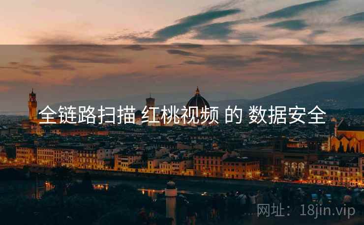 全链路扫描 红桃视频 的 数据安全  第2张