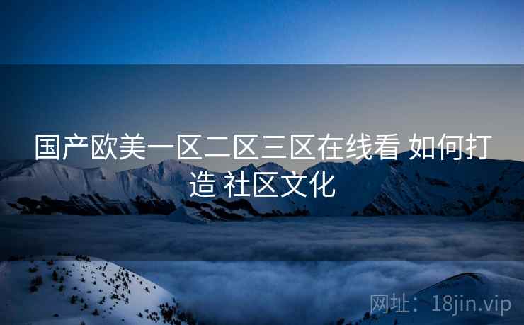 国产欧美一区二区三区在线看 如何打造 社区文化  第2张
