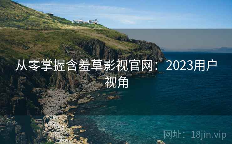 从零掌握含羞草影视官网：2023用户视角  第1张