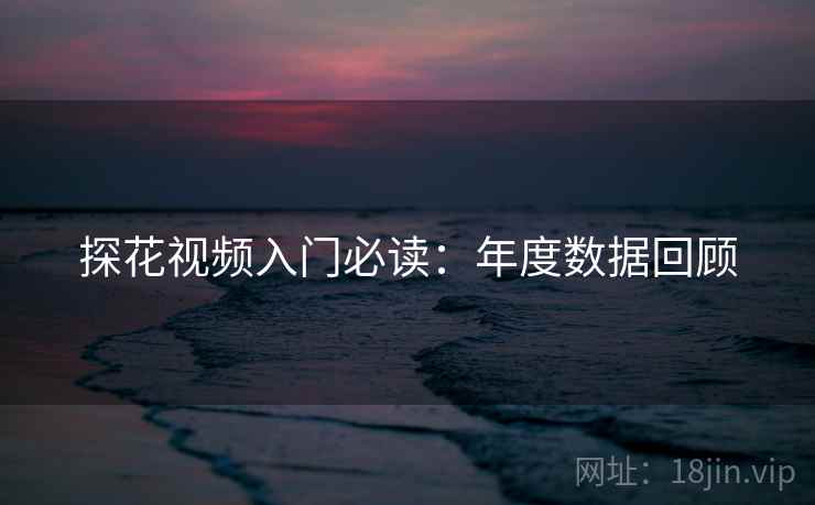 探花视频入门必读：年度数据回顾  第2张
