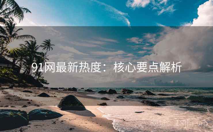 91网最新热度：核心要点解析  第2张
