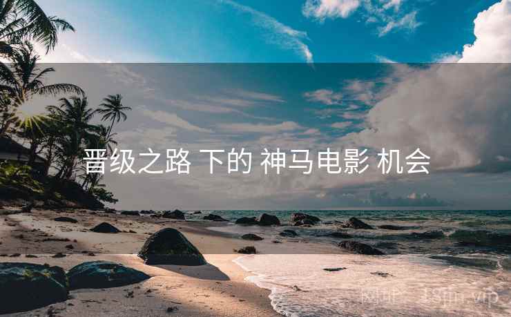 晋级之路 下的 神马电影 机会  第1张
