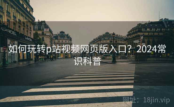如何玩转p站视频网页版入口？2024常识科普  第2张