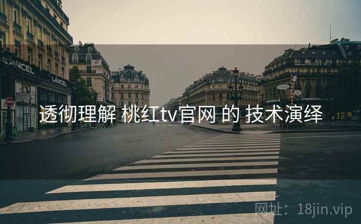 透彻理解 桃红tv官网 的 技术演绎  第1张