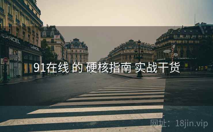 91在线 的 硬核指南 实战干货  第2张